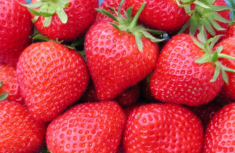 Ambra Bare Essentials Crop Bra, Strawberry, 8-16 - Bras